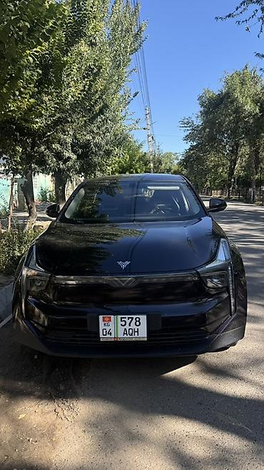 byd chin 2024: BYD : 2022 г., Автомат, Электромобиль, Кроссовер — 4