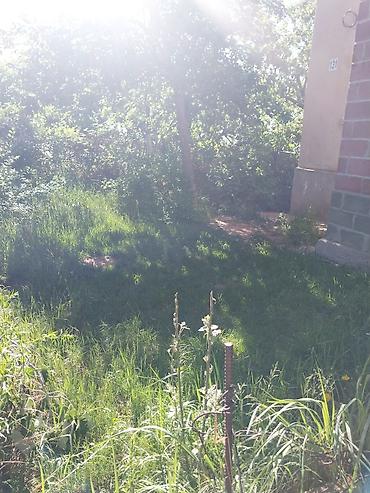 Продажа квартир: 3 комнаты, 60 м², 105 серия, 1 этаж, Косметический ремонт — 27