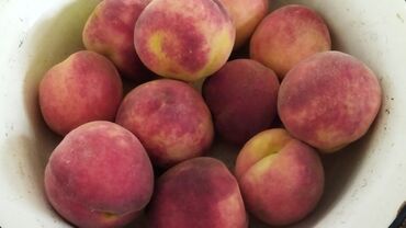 Овощи, фрукты: Поспели экологически чистые, лысые персики, нектарин с моего сада