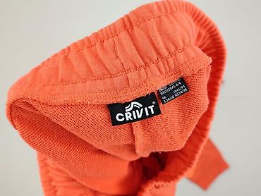 bluzy cmp: Crivit, Spodnie dresowe damskie, rozmiar XS — 4