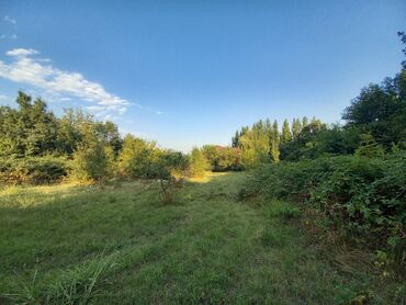 Torpaq sahələrinin satışı: 10 sot, Tikinti, Mülkiyyətçi, Kupça (Çıxarış) — 6