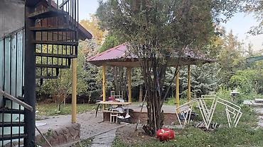 ковер цена бишкек: Беседка Дерево — 3