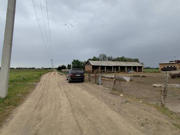 город карабалта: 200 соток