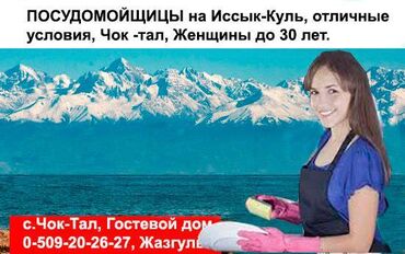 работа в бишкеке официант без опыта: Требуется Посудомойщица, Оплата Еженедельно