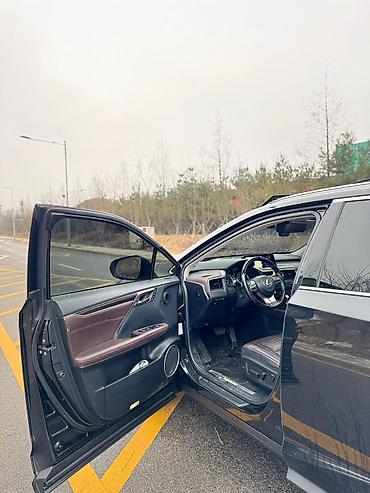 Lexus: Lexus RX: 2019 г., 3.5 л, Автомат, Гибрид, Кроссовер — 16