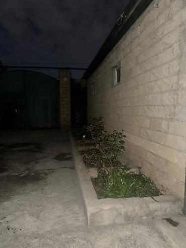 Həyət evləri və villaların satışı: Sulutəpə qəs. 2 otaqlı, 75 kv. m, Kredit yoxdur, Orta təmir — 5