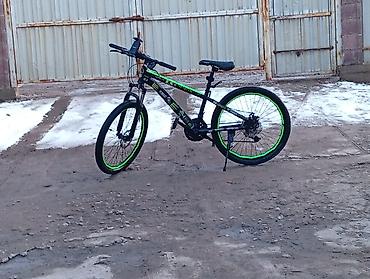 Горные велосипеды: Горный велосипед, Рама M (156 - 178 см), Сталь — 10