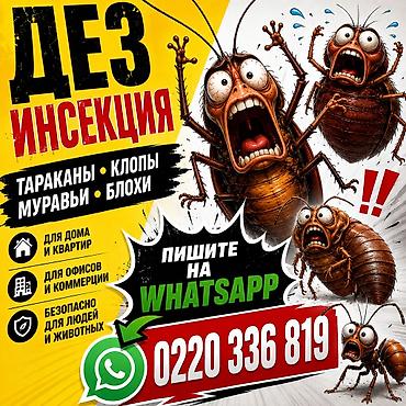 гигиена: Дезинфекциялоо, дезинсекциялоо, | Кумурскалар, | Батирлер — 2