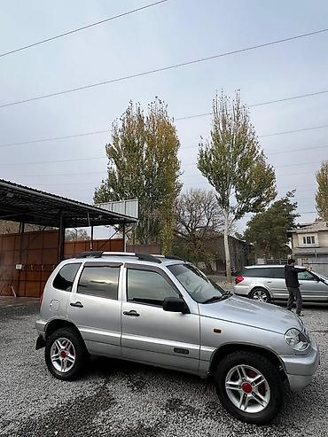 Chevrolet: Chevrolet Niva: 2008 г., 1.7 л, Механика, Бензин, Внедорожник — 4