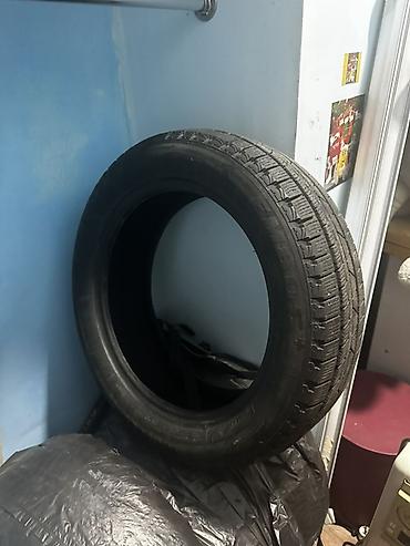 балон зимний 16: Зимние шины 195/55 R16 - Тип: зимняя - Размер: 195/55 R16 - — 1