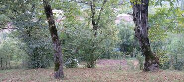 Torpaq sahələrinin satışı: 15 sot, Mülkiyyətçi, Kupça (Çıxarış), Texniki pasport — 6