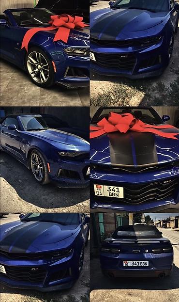 камаро машина: Chevrolet Camaro: 2022 г., 3.6 л, Бензин, Кабриолет — 1
