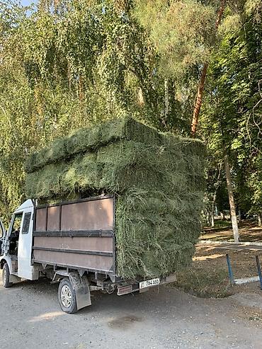 коврик на панель: Грузовик, Дубль, 3 т, Б/у — 7