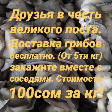 соленые грибы в Кыргызстан: Доставка грибов. по городу Бишкек. По оптовой цене. Мин. Заказ 5кг