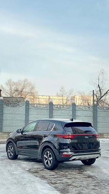 Kia: Kia Sportage: 2019 г., 2 л, Автомат, Дизель, Кроссовер — 9