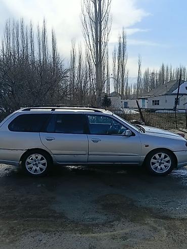 195 70 с: Nissan Primera: 2000 г., 1.8 л, Механика, Бензин — 1