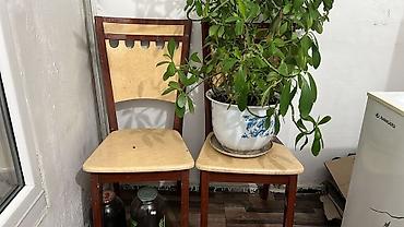 Другая мебель: В связи с переездом продаются многие вещи в хор.сост, доставки нету — 22