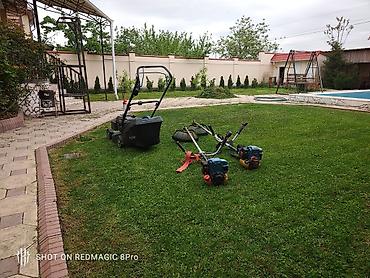 косилк: Аренда триммер бензиновый 4 такный Аренда Газонокосилка 4 такный — 4