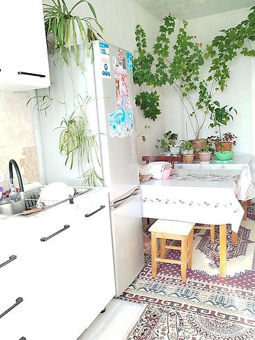 5: 2 комнаты, 50 м², 3 этаж, Свежий ремонт — 10