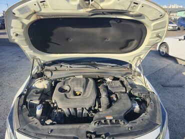 Kia: Kia K5: 2019 г., 2 л, Автомат, Бензин, Седан — 15