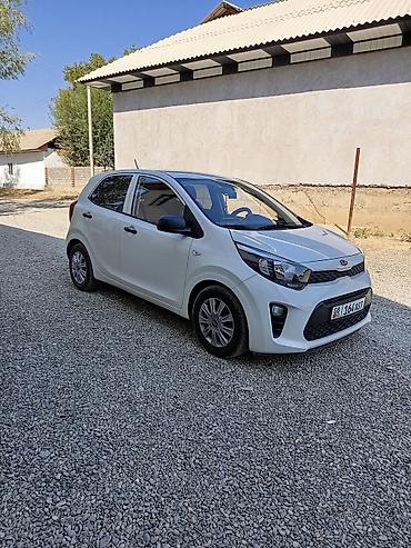 лампы освещения: Kia Morning: 2019 г., 1 л, Автомат, Бензин, Хэтчбэк — 7