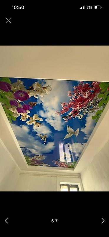 Натяжной потолок: Натяжной потолок 3D потолки, Глянцевое, Матовое Бесплатная консультация, Бесплатный замер, Гарантия — 8