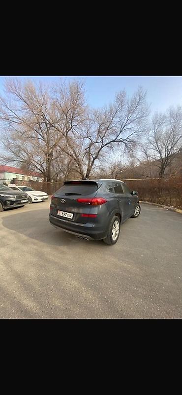 Hyundai: Hyundai Tucson: 2019 г., 1.6 л, Автомат, Дизель, Кроссовер — 3