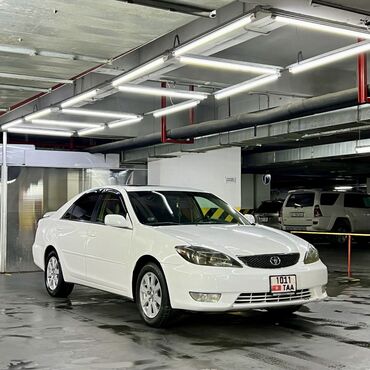 тайота камри 2010: Toyota Camry: 2005 г., 2.4 л, Автомат, Бензин, Седан