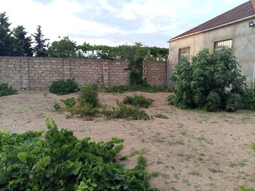 Bağ evlərinin satışı: Bakı, Albalı, 100 kv. m, 3 otaqlı, Kombi, Qaz, Su -da lalafo.az — 13 Bağ evlərinin satışı: Bakı, Albalı, 100 kv. m, 3 otaqlı, Kombi, Qaz, Su — 13