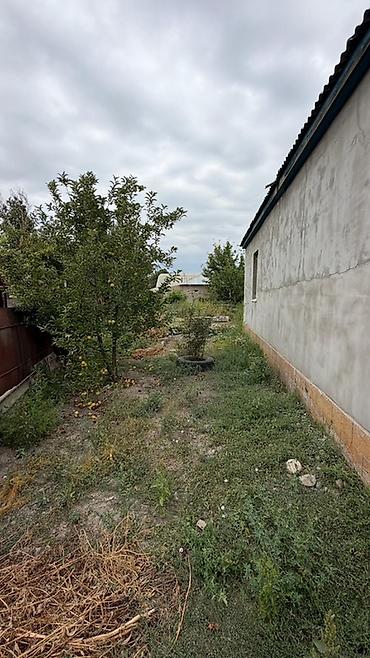один хоз: 📍 В Сокулуке продается дом на участке 10 соток 🏷️ Об объекте: Площадь — 5