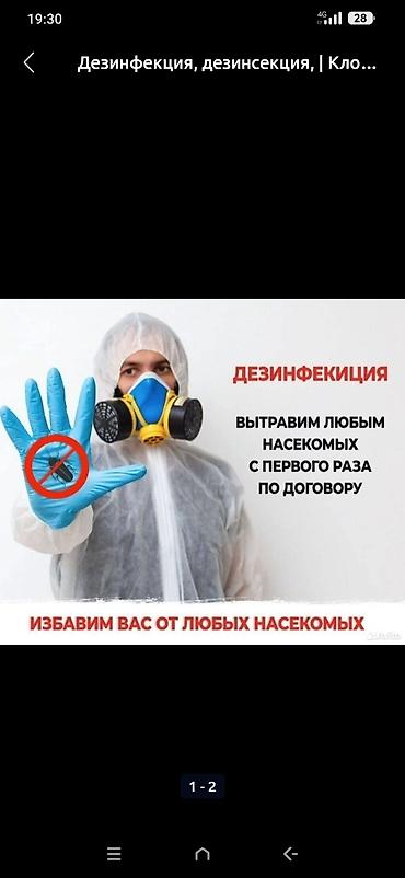Клининг кызматтары: Дезинфекциялоо, дезинсекциялоо, | Таракандар, Вирустар, микробдор, Кумурскалар, | Унаа, Батирлер, Кафелер, дүкөндөр — 3