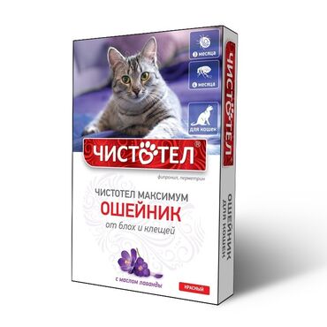 Товары и оборудование для с/х животных: Продаю Ошейник Чистотел для кошек ( красного цвета)