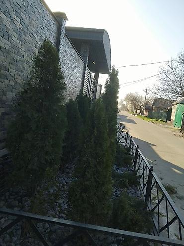 Дизайн, проектирование: Дизайн | Дома — 3