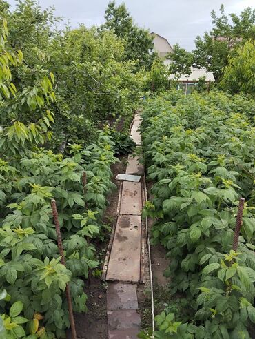 Продажа домов: Дом, 70 м², 4 комнаты, Собственник at lalafo.kg — 24 Продажа домов: Дом, 70 м², 4 комнаты, Собственник — 24