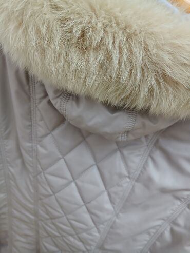 Kurtkalar: X-Lady, L — 8