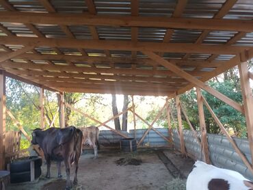 Продажа домов: Дом, 169 м², 6 комнат, Собственник, Старый ремонт — 4