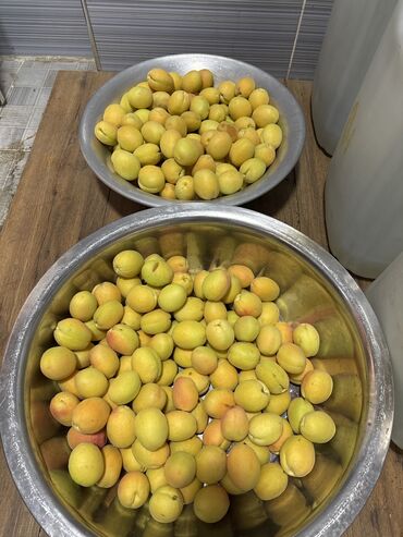 мясо цена бишкек сегодня: Абрикосы Королевский, В розницу