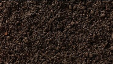 Грунт, чернозем: В тоннах, Бесплатная доставка, Зил — 11