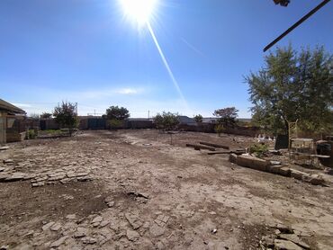 Torpaq sahələrinin satışı: 6 sot, Kənd təsərrüfatı, Kupça (Çıxarış) — 3