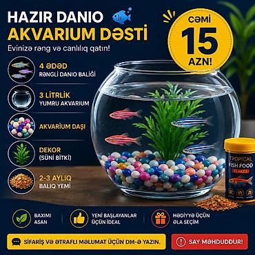 akvarium balıq novləri: Yumru akvarium, Balıqlarla birlikdə, 3 l, Ünvandan götürmə, Pulsuz çatdırılma, Ödənişli çatdırılma — 1