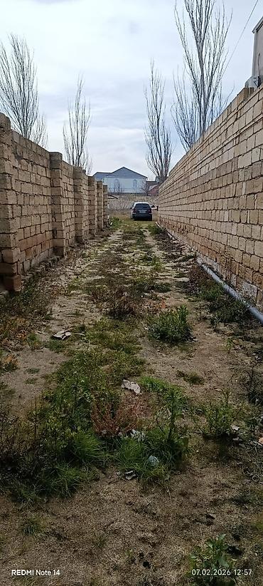 Torpaq sahələrinin satışı: 8 sot, Tikinti, Kupça (Çıxarış) — 2