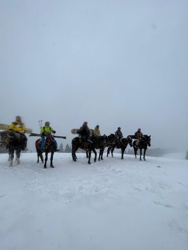 Продажа офисов: Продаю Продажа офисов 368 м², С ремонтом, С мебелью, Административное здание, 1 этаж — 18
