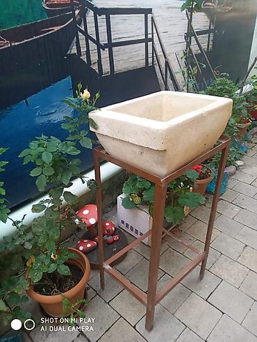 cokə ağacı satılır: Su dawl satllr.altlgl ilə birlikdə.vtdp var.endirim olar — 3