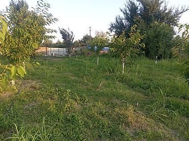 qurd dərəsi torpaq: 10 sot, Kənd təsərrüfatı, Mülkiyyətçi, Kupça (Çıxarış) — 5