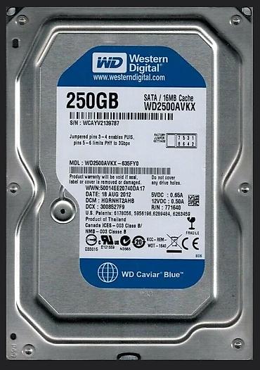 wd 3: Накопитель для ПК, Б/у, Western Digital (WD), HDD, 256 ГБ, 3.5", Для ПК — 1