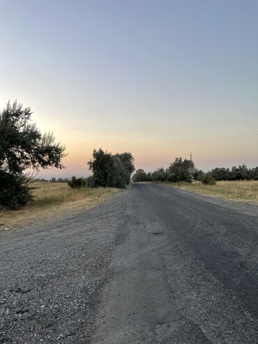 Сельхоз предприятия: Продаю Кошара, 50 соток, Действующий, Без оборудования, Электричество — 29