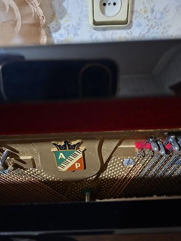 İdman və hobbi: Piano, Petrof, Akustik, Yeni, Pulsuz çatdırılma — 4
