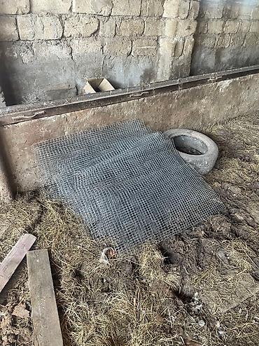 metal setka: Paslanmayan setka bakıdadır,məhəmmədi kəndində — 5