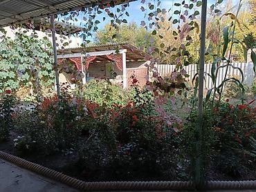 Продажа коттеджей и домов: В продаже Дом с огородом 18 соток . Для более детального обсуждения — 2