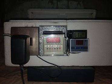 İnkubatorlar: 50 yumurta, Azərbaycan, Tam avtomat — 1